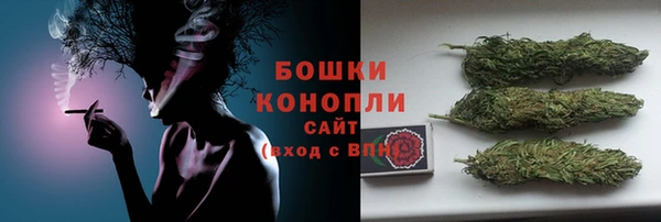 мдпв Волосово