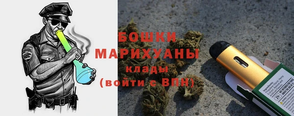 мдпв Волосово